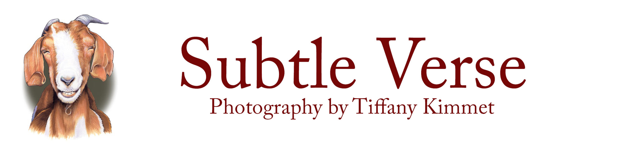 Store Logo