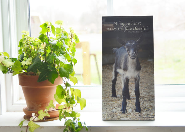 Cheerful Goat - Ready to Hang Plaque
