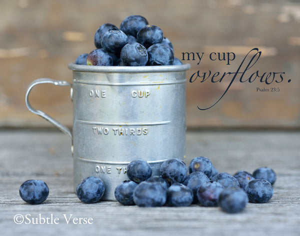Cup of Blueberries - Prints