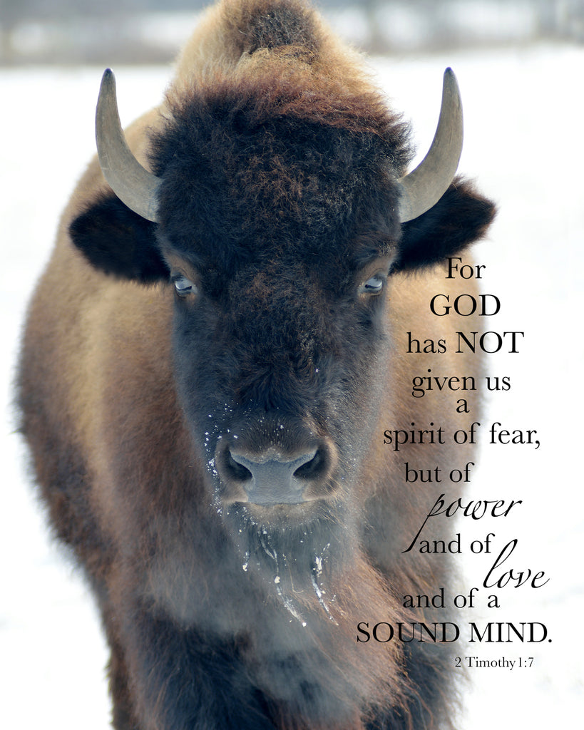For God has NOT given us a spirit of fear