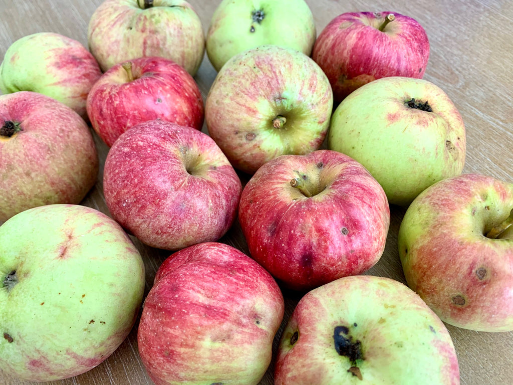 Apples