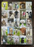 Animal Puzzle