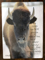 Bison Puzzle
