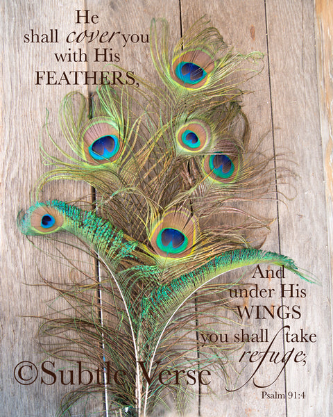 Feathers - Ready to Hang Plaque