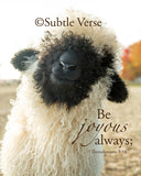 Louie - Blacknose Sheep - Ready to Hang Plaques