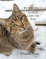 Purrfect Love Cat - Magnet and Deluxe Magnet