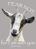 NEW! Custom V-Neck Tee from The Happy Goat Apparel Collection
