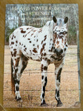 Spotted Horse Puzzle