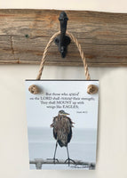Eagle - Ropes