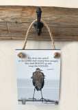 Eagle - Ropes