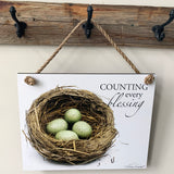 Overstock Nest - Ropes