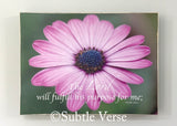 Close Out - Purpose Flower Box