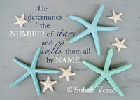 Stars - Canvas Framed in Barn Wood