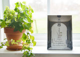 See - Ready to Hang Plaque