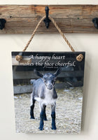 Cheerful Goat - Ropes