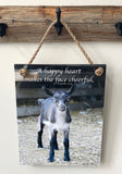 Cheerful Goat - Ropes
