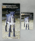Cheerful Goat - Magnet and Deluxe Magnet