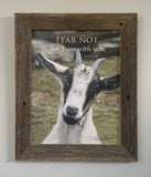 Fear Not - Canvas Framed in Barn Wood