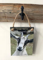 Fear Not - Ropes