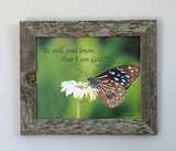Be Still Butterfly - Canvas Framed in Barn Wood