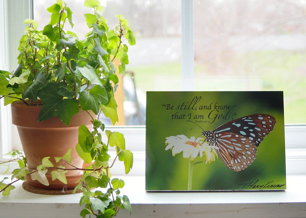 Be Still Butterfly - Ready to Hang Plaque