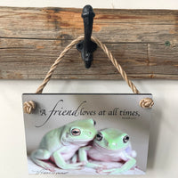 Frog Friends- Ropes