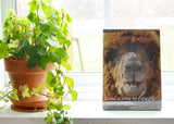 Brutus - Ready to Hang Plaque