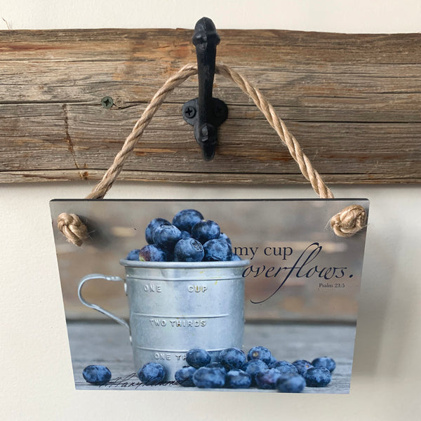Cup of Blueberries - Ropes