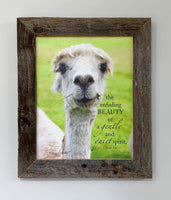 Sophie - Canvas Framed in Barn Wood