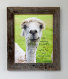 Sophie - Canvas Framed in Barn Wood