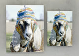 Maggie - Goat with Hat - Magnet and Deluxe Magnet