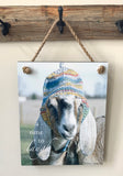 Maggie - Goat with Hat - Ropes