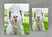 Loving Friend - Magnet and Deluxe Magnet