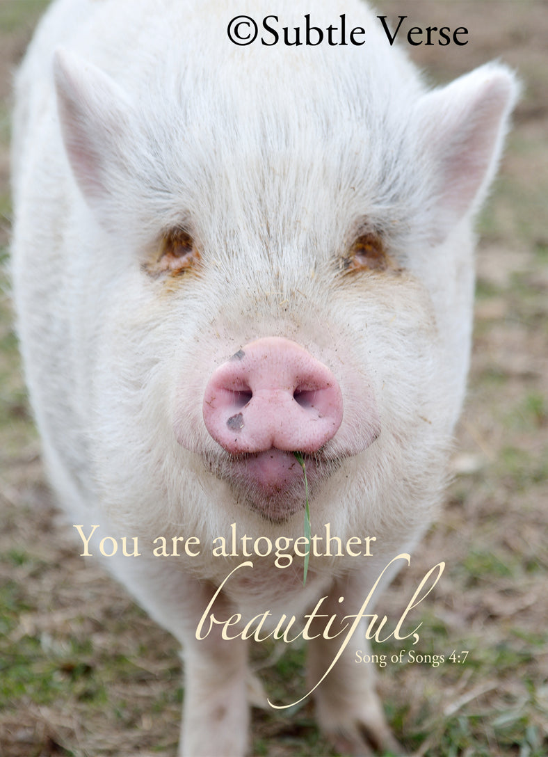 Overstock Beautiful Pig - Ropes – Subtle Verse
