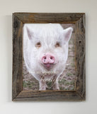 Beautiful Pig - Canvas Framed in Barn Wood