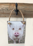 Overstock Beautiful Pig - Ropes