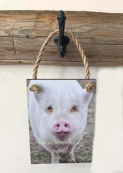 Beautiful Pig - Ropes
