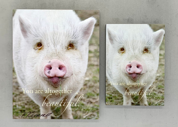 Beautiful Pig - Magnet and Deluxe Magnet