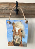Joyful Horse - Ropes