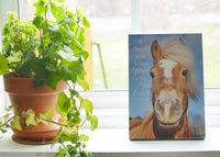 Joyful Horse - Ready to Hang Plaque