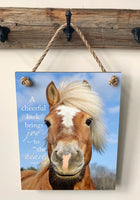 Joyful Horse - Ropes