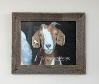 The Happy Goat - Canvas Framed in Barn Wood