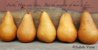 Pears - Ready to Hang Plaque