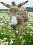 Dominic the Donkey - Ropes