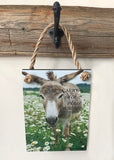 Dominic the Donkey - Ropes