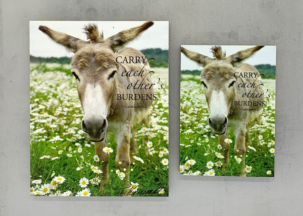 Dominick Donkey - Magnet and Deluxe Magnet