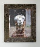 Buttercup - Canvas Framed in Barn Wood