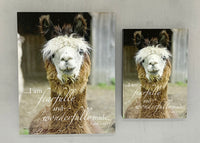 Buttercup - Magnet and Deluxe Magnet