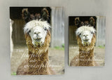 Buttercup - Magnet and Deluxe Magnet