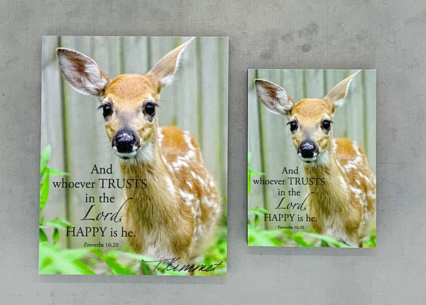 Hope the Deer - Magnet and Deluxe Magnet